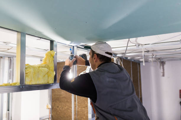 Best Insulation Maintenance and Repair in Falling Water, TN